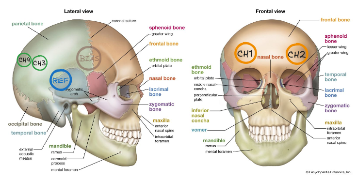 Pendulum interface detail